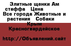 Элитные щенки Ам.стаффа › Цена ­ 25 000 - Все города Животные и растения » Собаки   . Крым,Красногвардейское